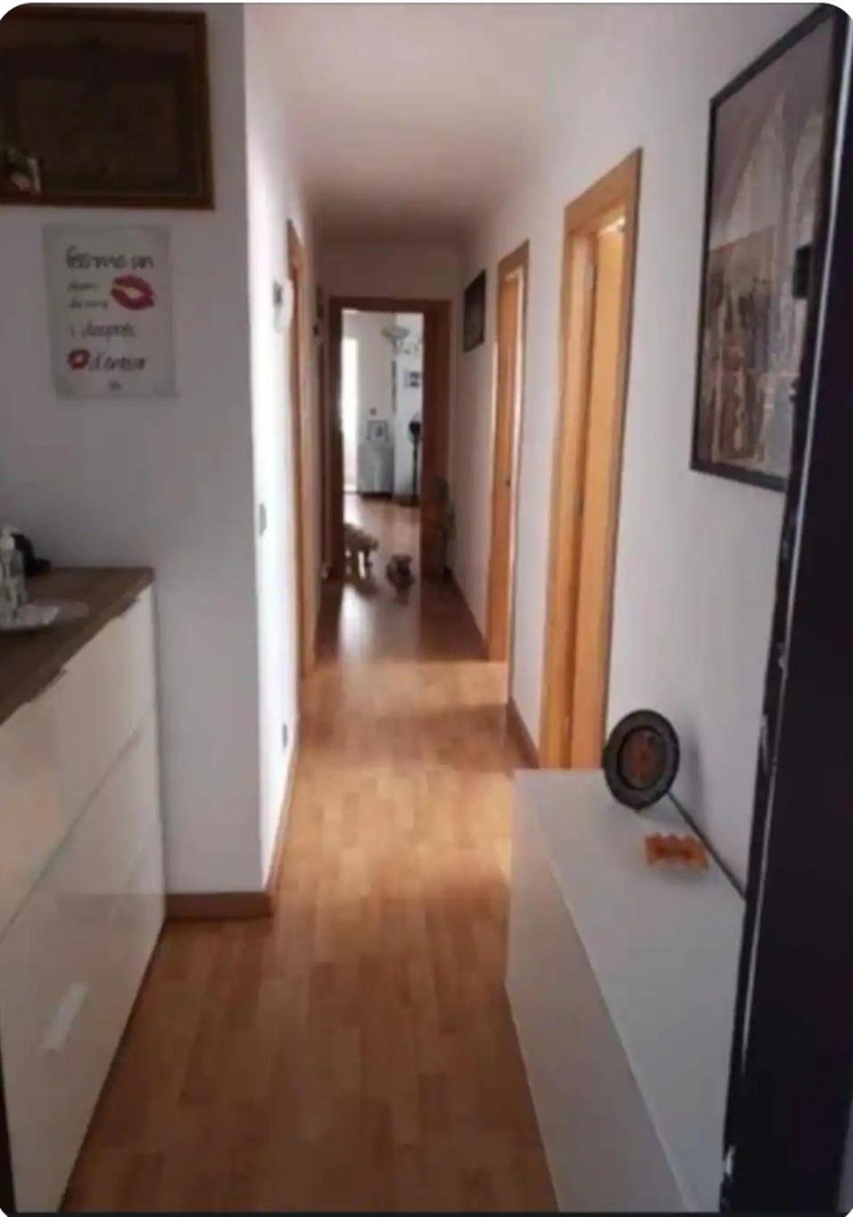 Habitacion Maria Jose Benidorm Extérieur photo